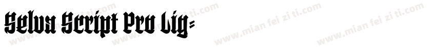 Selva Script Pro Lig字体转换